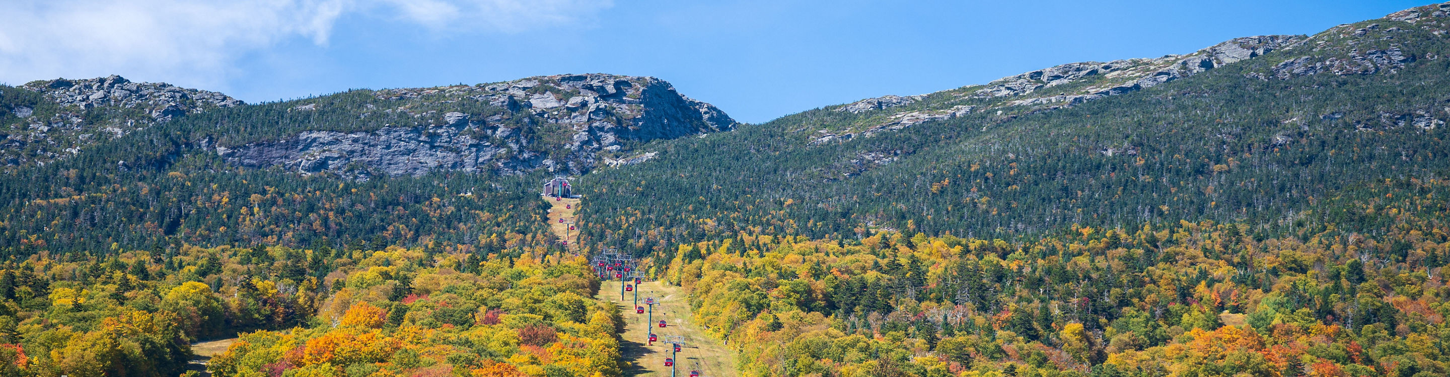 Scenic View of Bright Red Gondolas at Stowe
