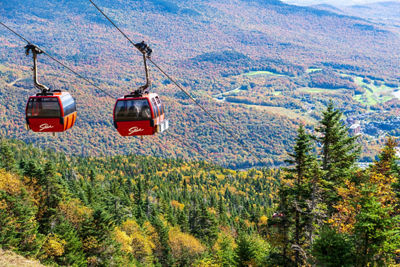 Scenic View of Bright Red Gondolas at Stowe