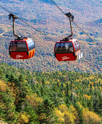 Scenic View of Bright Red Gondolas at Stowe