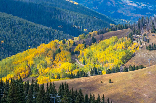 Vail Mountain in Fall