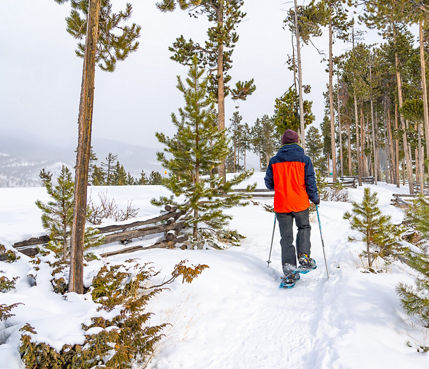 Man Snowshoeing on Trail in Keystone