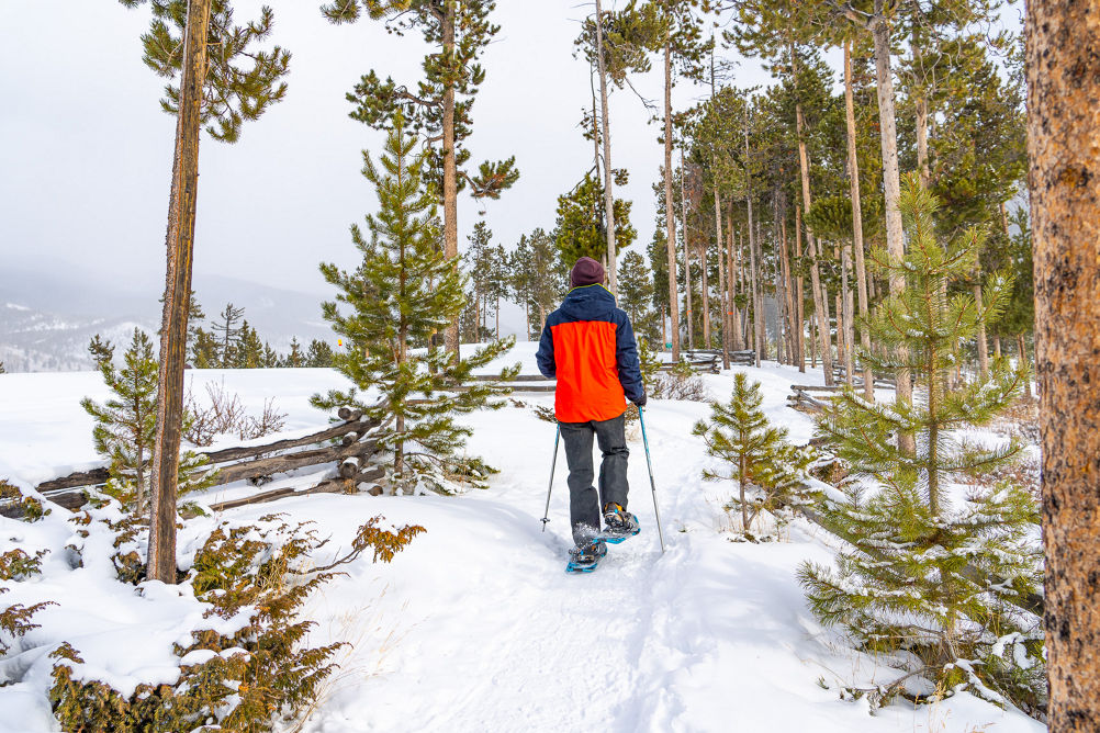 Man Snowshoeing on Trail in Keystone