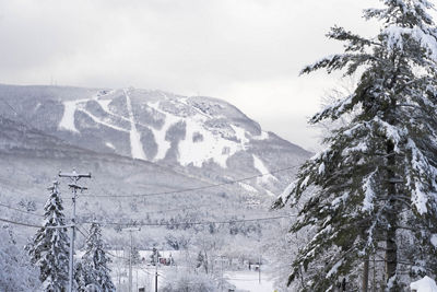 Snowy Landscape of Hunter Mountain