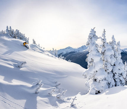 Skier Riding Down Advanced Terrain After Fresh Snowfall at Whistler Blackcomb