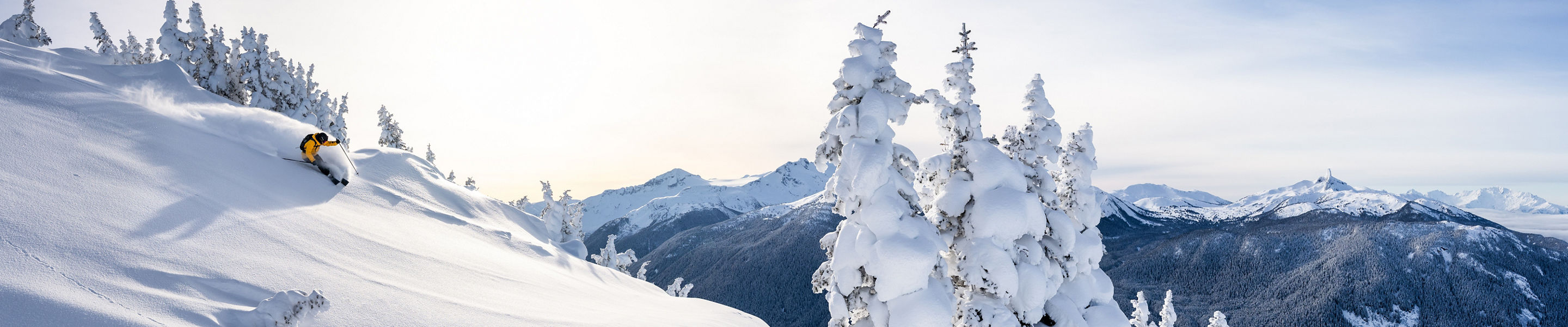 Skier Riding Down Advanced Terrain After Fresh Snowfall at Whistler Blackcomb