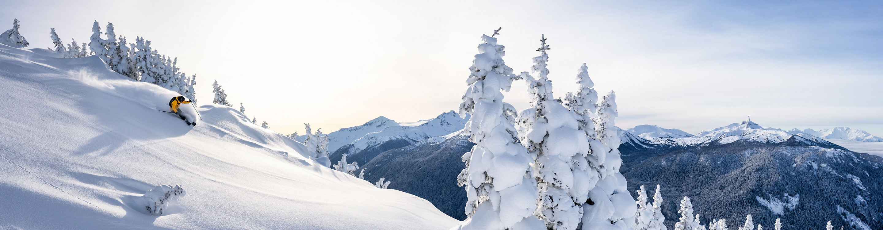 Skier Riding Down Advanced Terrain After Fresh Snowfall at Whistler Blackcomb