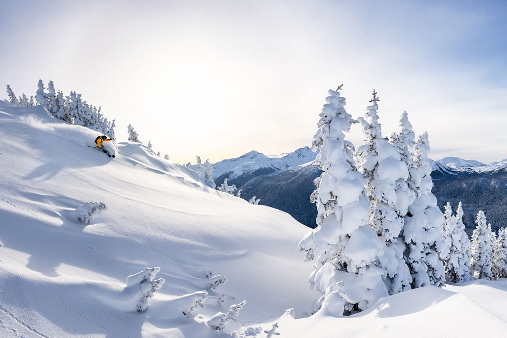 Skier Riding Down Advanced Terrain After Fresh Snowfall at Whistler Blackcomb