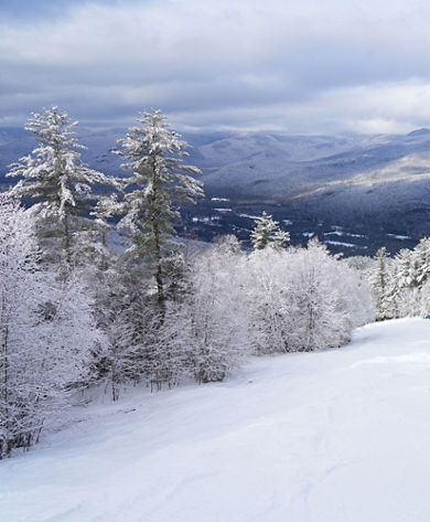 View of Wintry Tree-Lined Run at Attitash