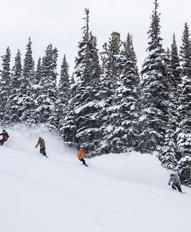 Snowboarders Hit Fresh Powder Near Treeline at Whistler Blackcomb