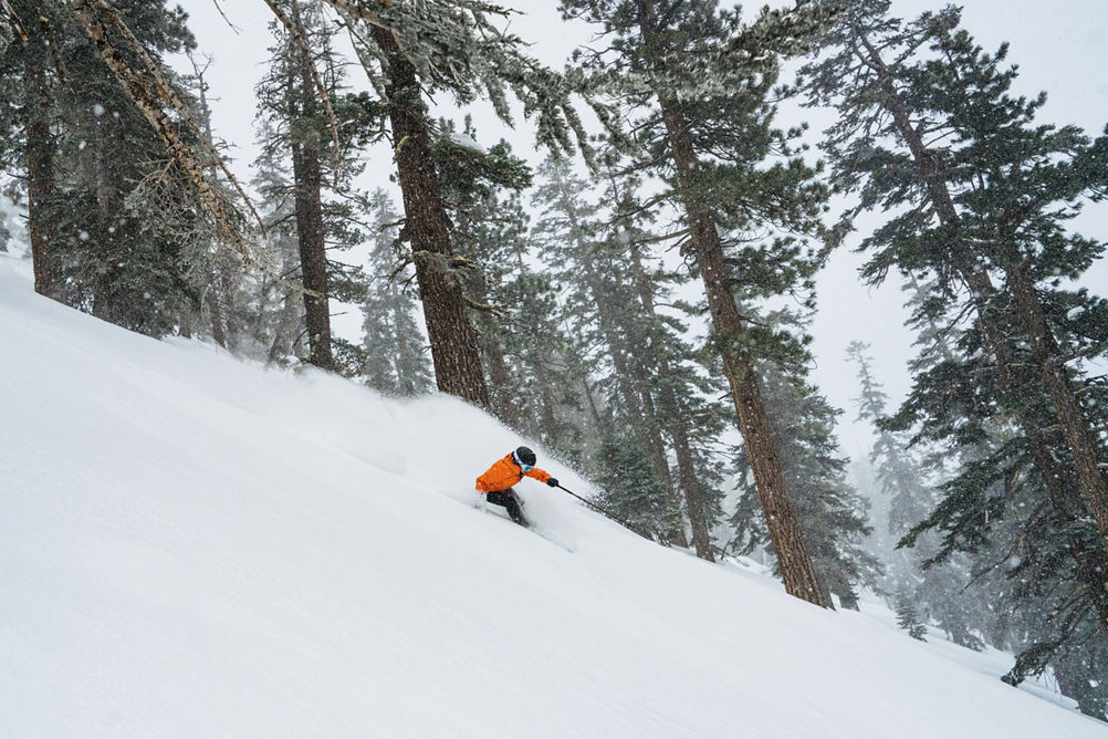 Skier Shred Through Trees on Advanced Terrain at Heavenly