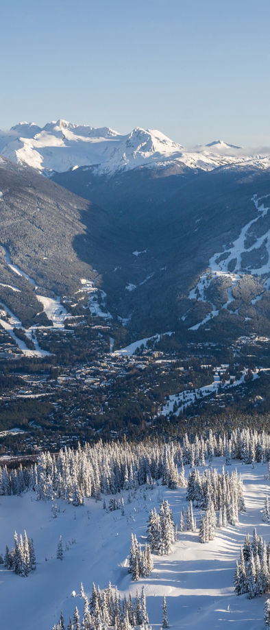 Whistler conditions online