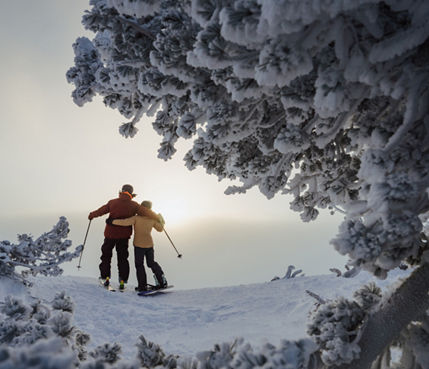 Wintery Scene of Snow Covered Trees and a Skier and Snowboarder Embracing in a Side Hug at Heavenly