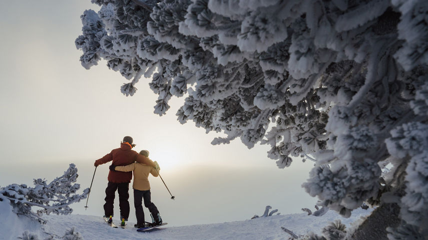 Wintery Scene of Snow Covered Trees and a Skier and Snowboarder Embracing in a Side Hug at Heavenly