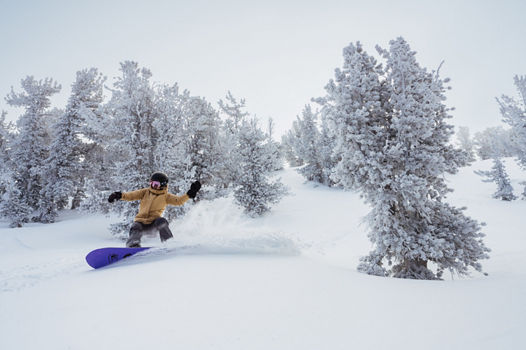 Snowboarder Shreds Through Trees on Advanced Terrain at Heavenly