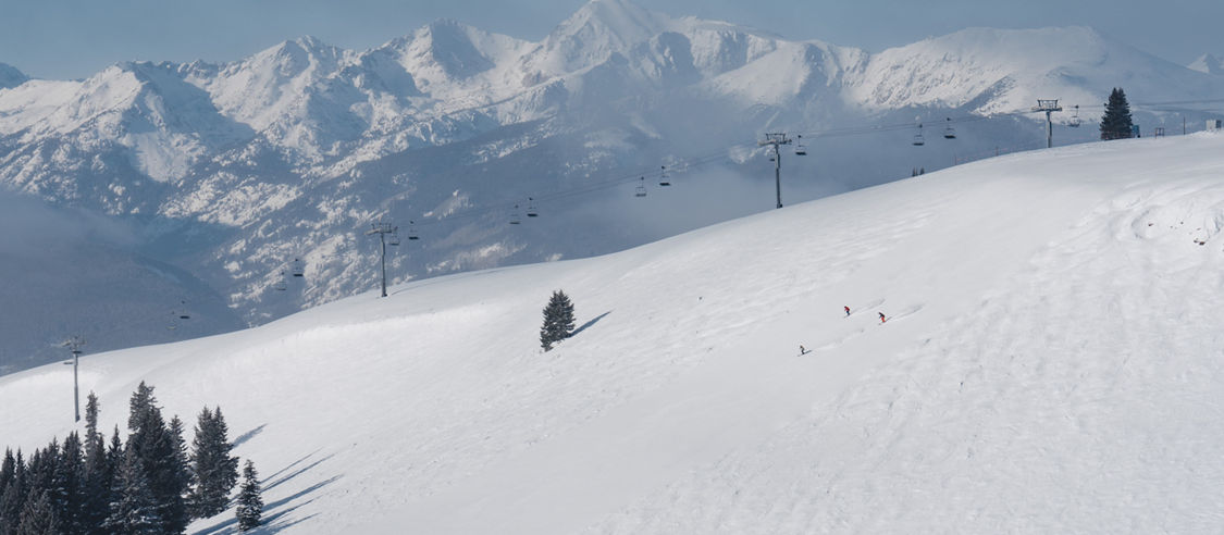Open Landscape View of the Legendary Back Bowls at Vail