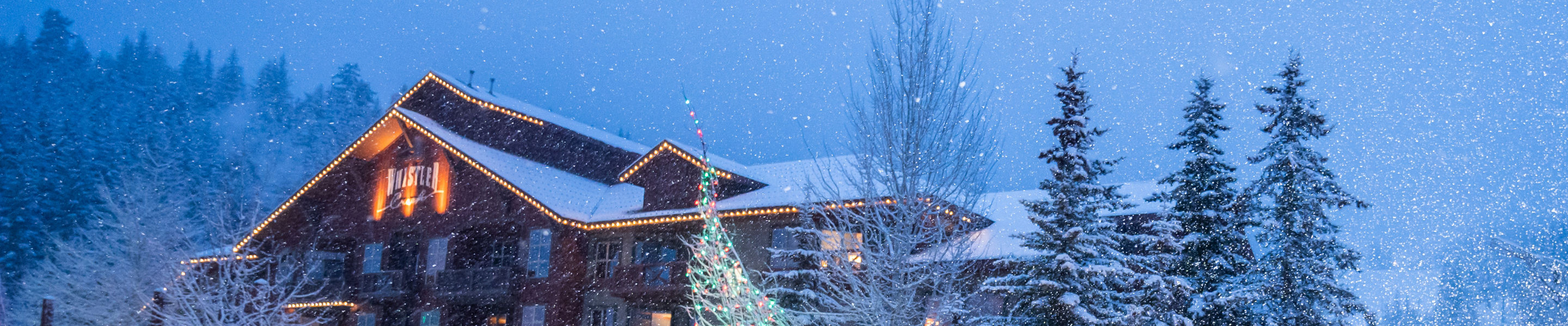 Wintery Scene of the Bridge at Whistler Creek
