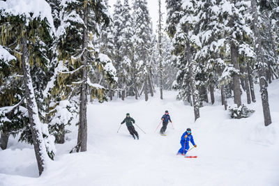 Teen Ski Lesson at Whistler Blackcomb