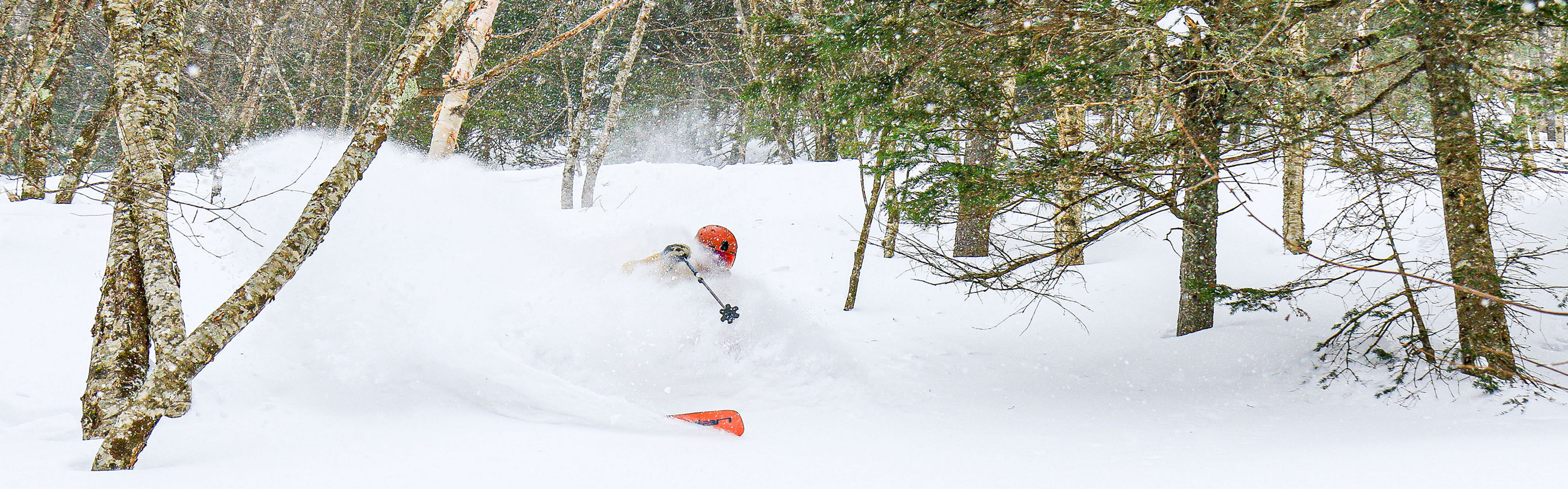 Skier Descends Mountain on a Powder Day at Stowe