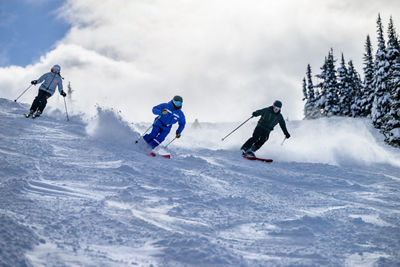 Adult Ski Lesson at Whistler Blackcomb