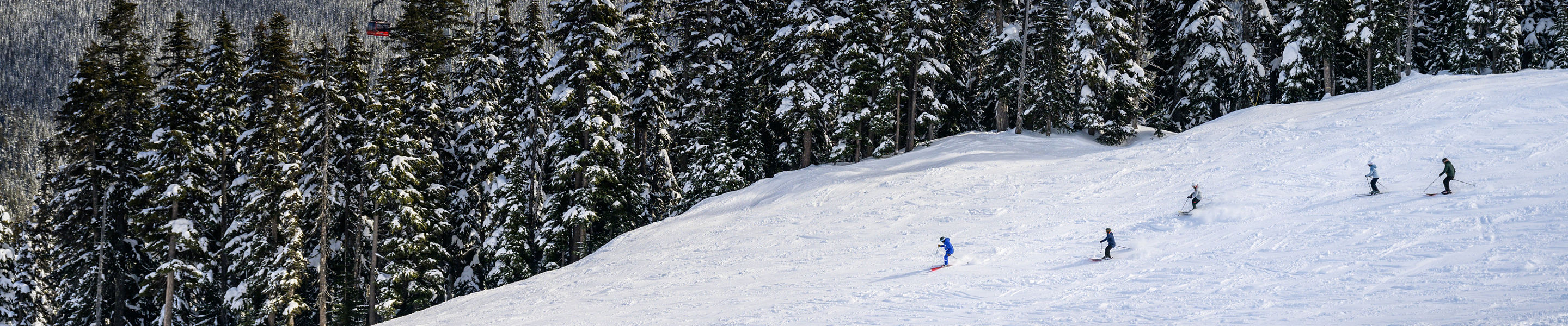Adult Ski Lesson at Whistler Blackcomb