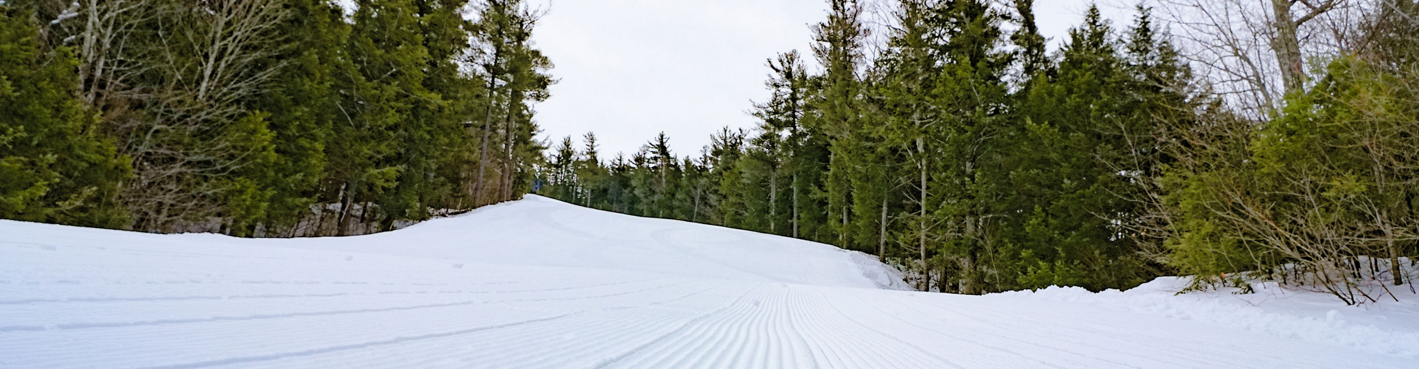 Freshly Groomed Snow at WIldcat Mountain