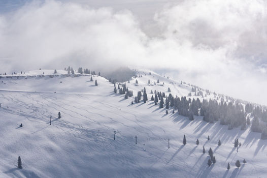 Winter Scenic Imagery at Vail