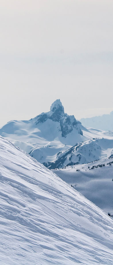 Bc hot sale snow report