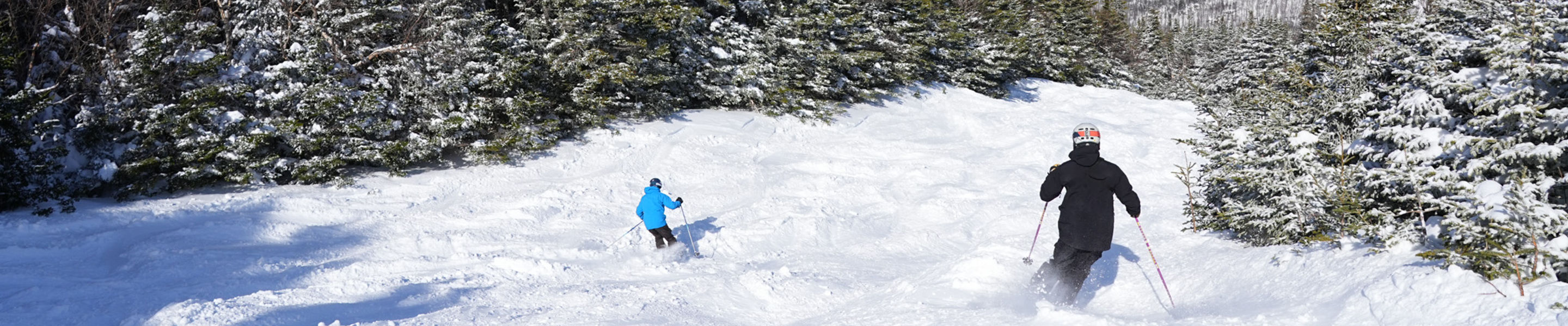 Skiers Make Turn on Powdery Run at Wildcat