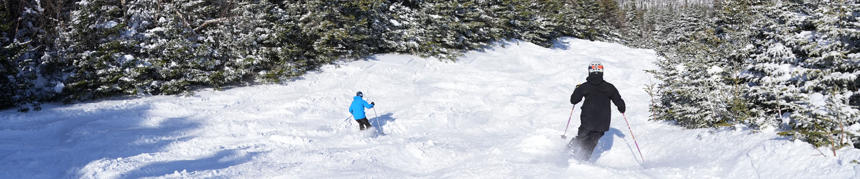 Skiers Make Turn on Powdery Run at Wildcat