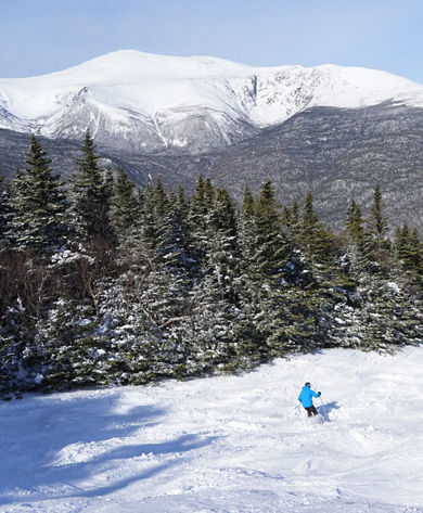 Skiers Make Turn on Powdery Run at Wildcat