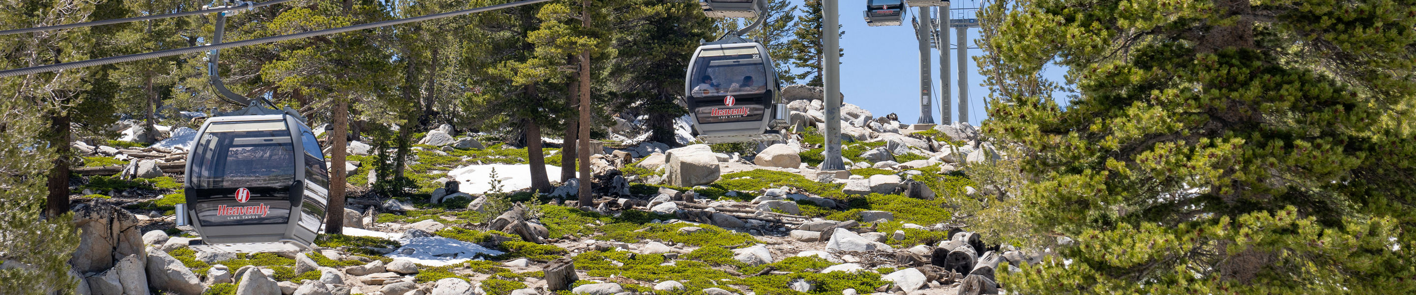 Summer Scenic Shot of Gondolas at Heavenly