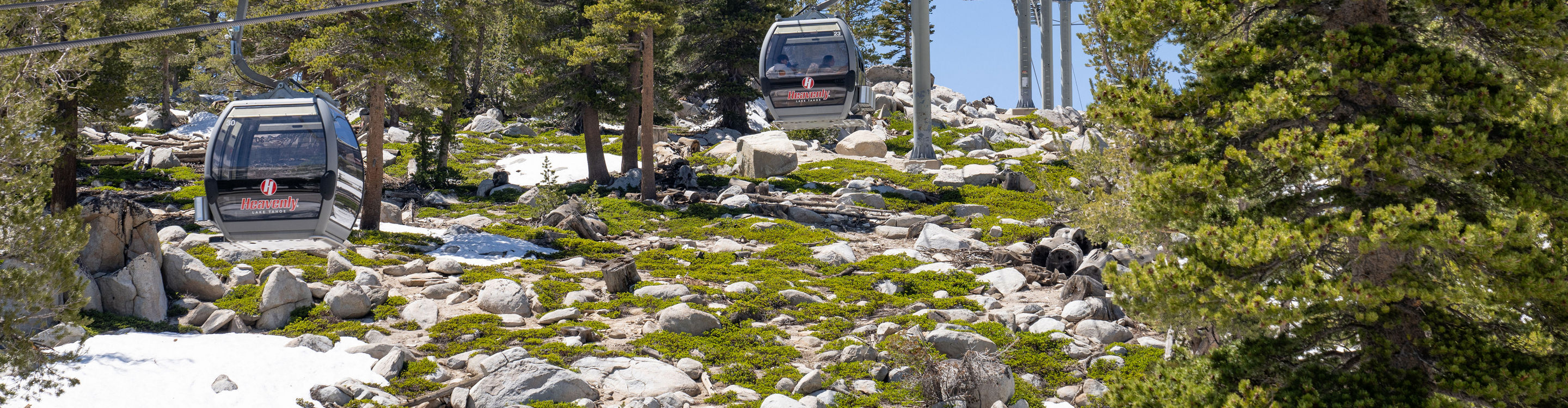 Summer Scenic Shot of Gondolas at Heavenly