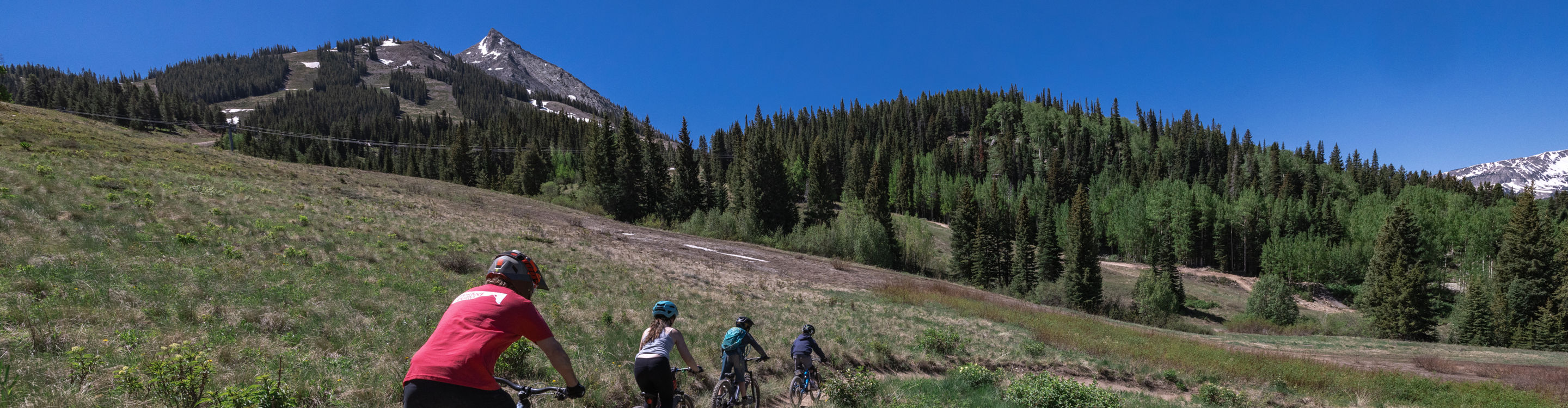 Family Summer Bike Ride on Crested Butte Trail