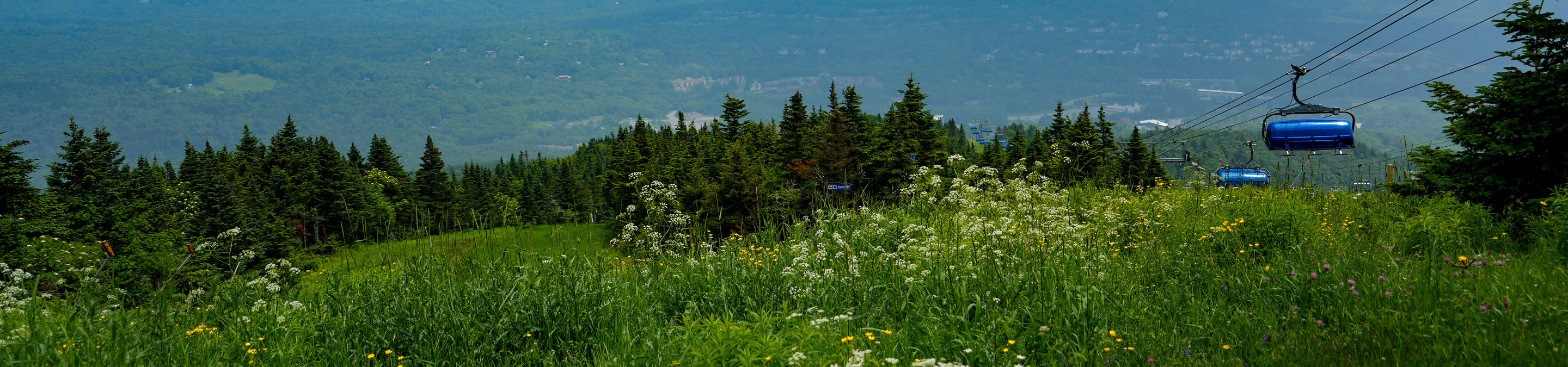 Summer Scenic Landscape at Mount Snow