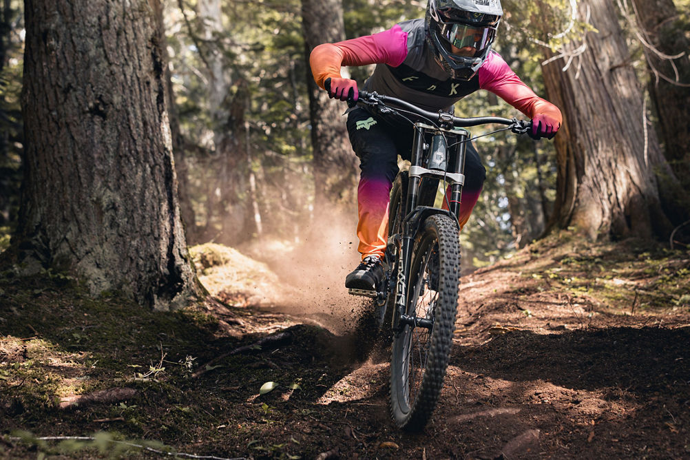 Mountain Biker Riding Down Forested Bike Park Trail at Whistler Blackcomb