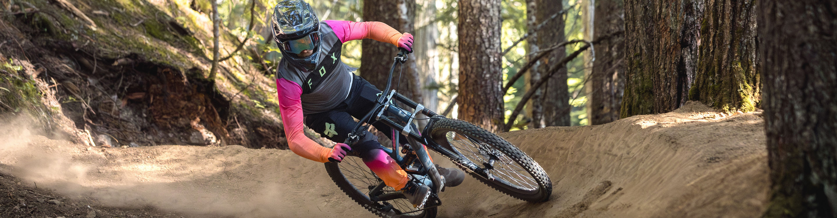 Mountain Biker Riding Down Forested Bike Park Trail at Whistler Blackcomb