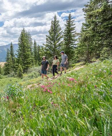 Group of Friends on a Summer Hike in Breckenridge
