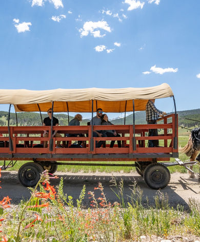 Summer Scenic Family Wagon Ride at Keystone