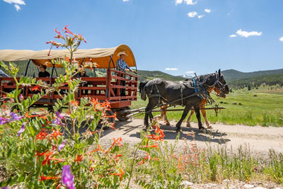 Summer Scenic Family Wagon Ride at Keystone