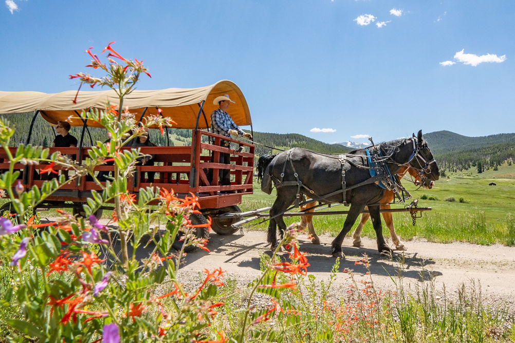 Summer Scenic Family Wagon Ride at Keystone