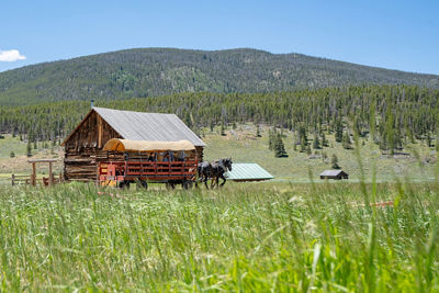 Summer Scenic Family Wagon Ride at Keystone
