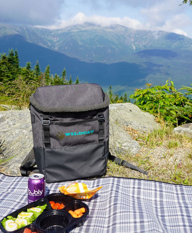 Summer Scenic Picnic at Wildcat