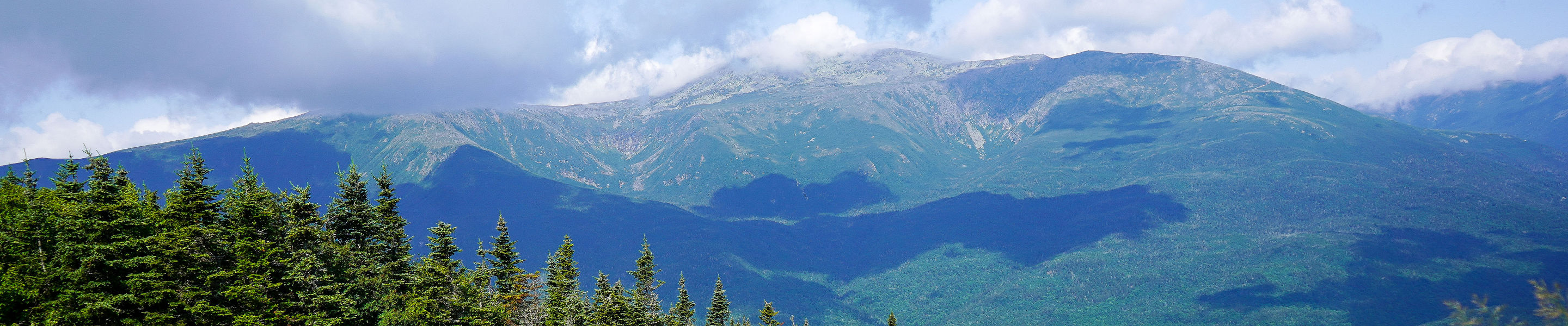 Summer Scenic Picnic at Wildcat