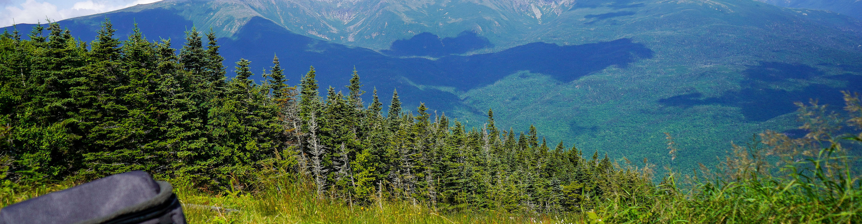 Summer Scenic Picnic at Wildcat
