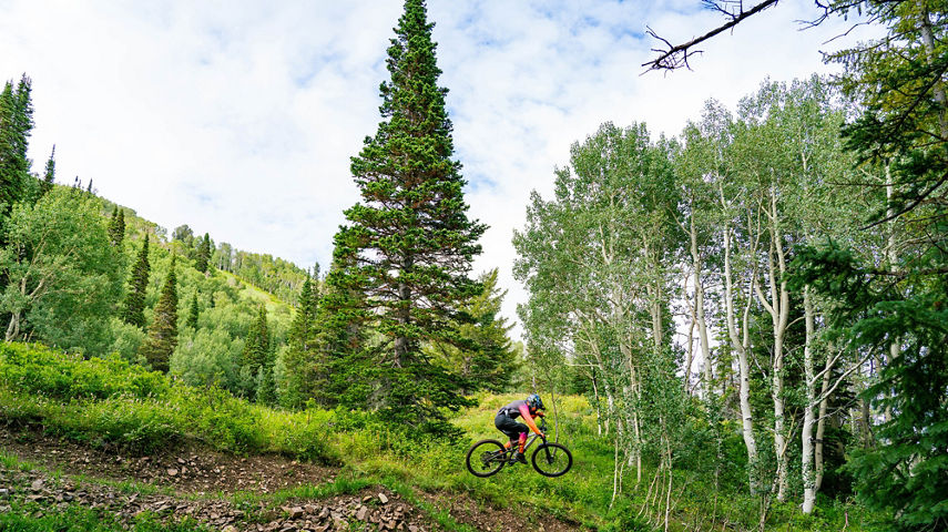 Summer Mountain Biking at Park City