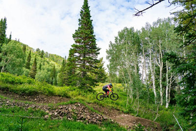 Summer Mountain Biking at Park City