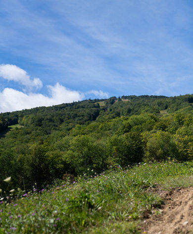Man and Woman Downhill Mountain Biking at Okemo