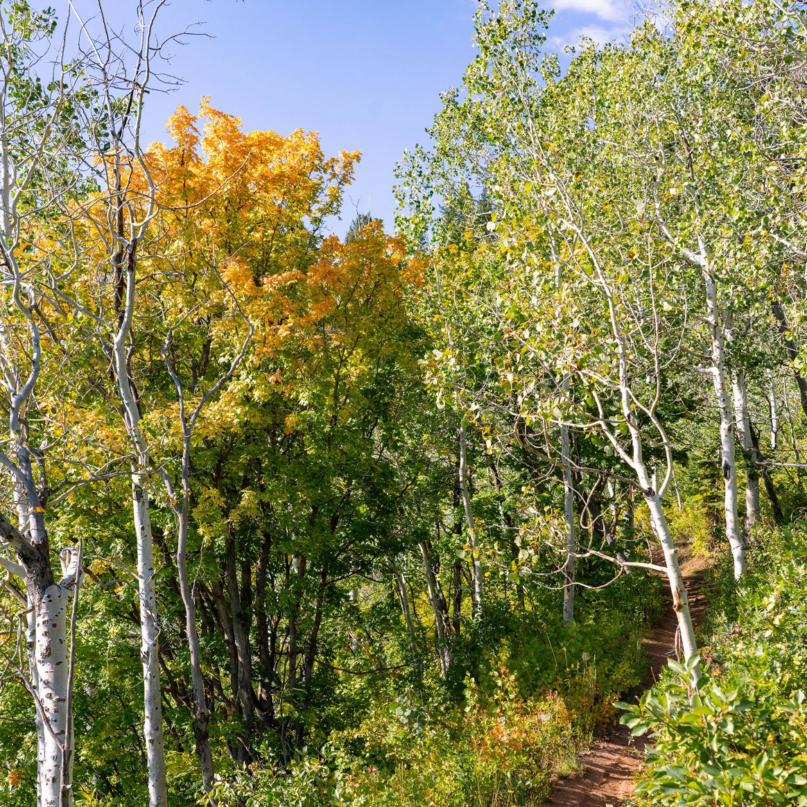 Fall Scenics at Park City