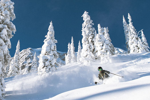 Resorts of the Canadian Rockies, Inc. Partner Image