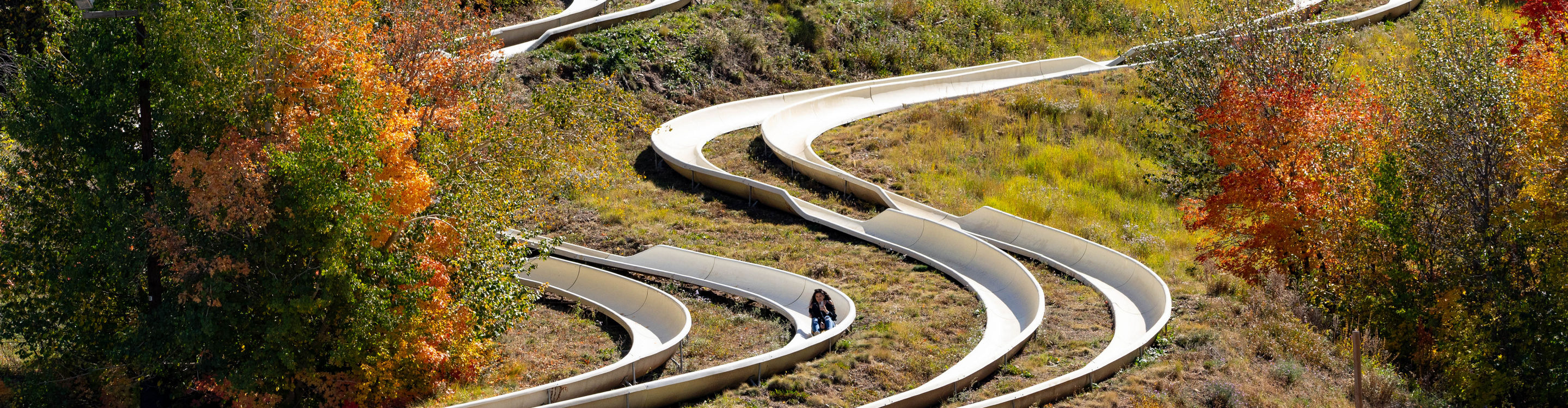 Alpine Slide Photography